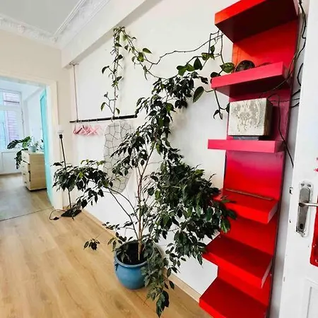 And Comfy 3b In Besiktas *